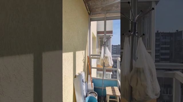 Студия. Тухачевского, 29б 28.3 кв.м.
Цена: 4050000р смотреть онлайн
