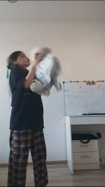 Аруужан и Согдиана про Олав