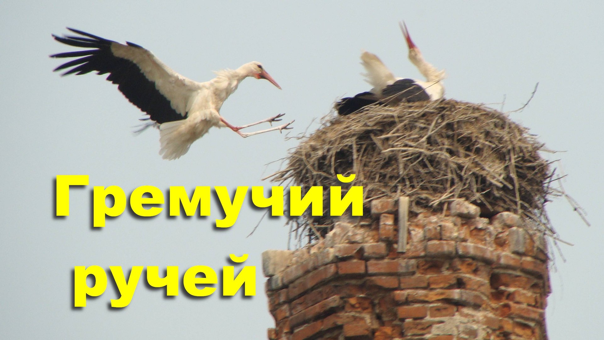 Гремучий (Гремячий) ручей. Красивый водопад. Аисты. Руины. Калужская область. Природа