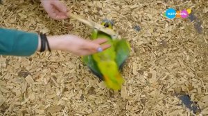 Навигатор. Новости (от 07.04.2025)