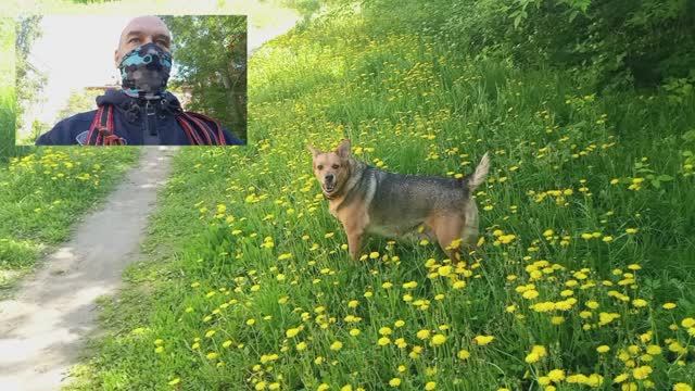 Двойная камера Смартфон Tecno SPARK 30