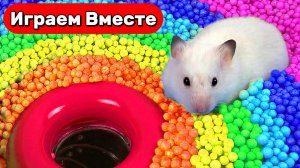 Играем вместе с Умным Хомяком ! Новый опасный лабиринт с ловушками и ПАУКОМ 🐹🕷️ Видео для детей