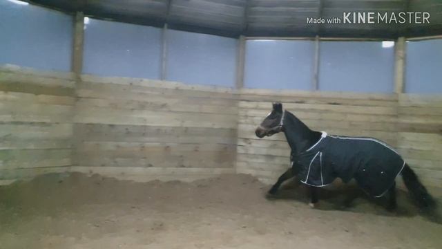 Evil-Blog | Персик после стартов