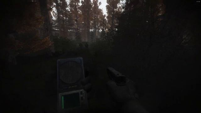 STALKER Anomaly с модами / Рыжий Лес / Динамические аномалии и Монолит! смотреть онлайн
