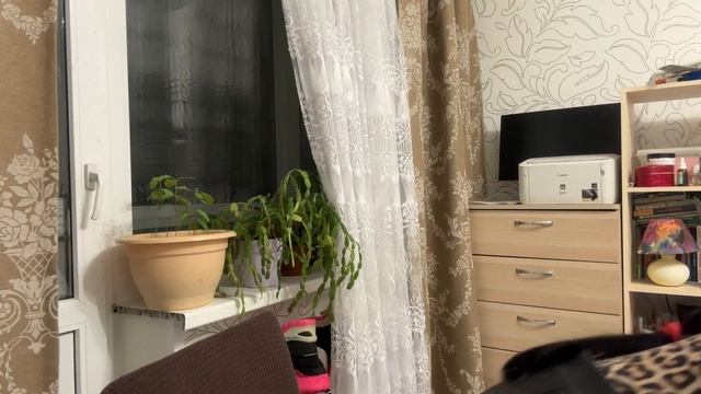 Ушла из вины в здоровую агрессию, Цифровой цирк, купила себе и ребёнку подарки на Новый год