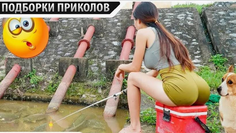 Я РЖАЛ ДО СЛЕЗ 😂 5 Минут ОТБОРНЫХ Русских приколов 2024 Смешные видео - Лучшие ПРИКОЛЫ смотреть онлайн