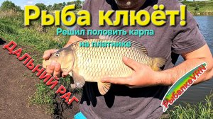 Карповая рыбалка 2025