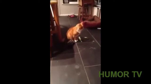 Машина года.ЛУЧШИЕ ПРИКОЛЫ 2015 #24 смотреть онлайн