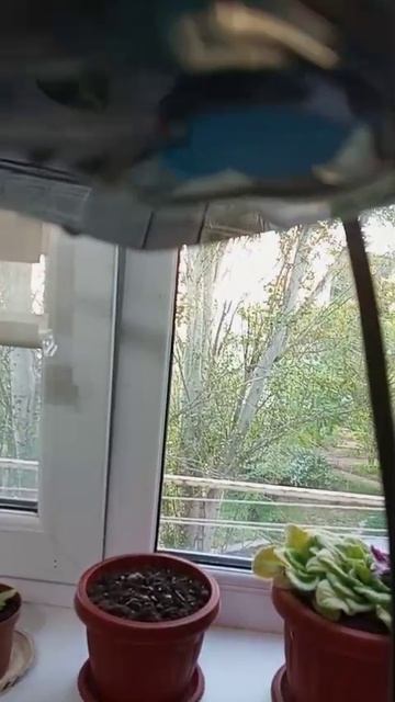 Пылесос вертикальный KT-595 паровой 6 в 1. Артикул 195127507. Течёт вода через контейнер для воды