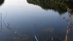 Рыбалка ранней весной на карася, красноперку и окуня