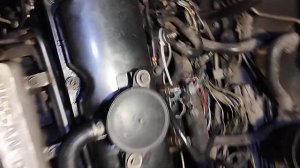 Заглох и не заводится нисан примера р11 2.0 дизель , прич?