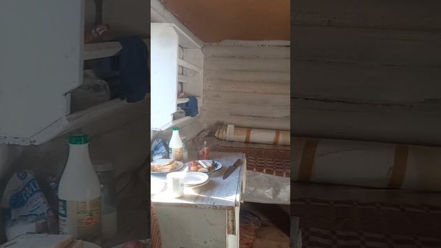 Глинянно-чурбачный пристрой закончен.Слава Богу!!! смотреть онлайн
