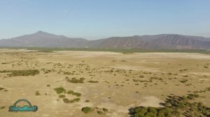 Я вижу, как летят они вдали... (Акустика, NeiroBarD)