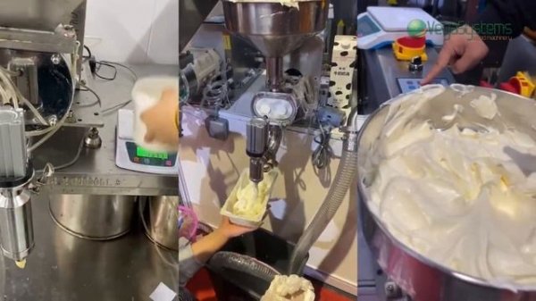 Vega mayonnaise and ketchup production H1550