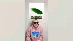 Мистер Бист ест рис 1 час!