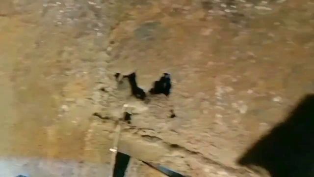 Киа Спортидж 2 замена порогов смотреть онлайн