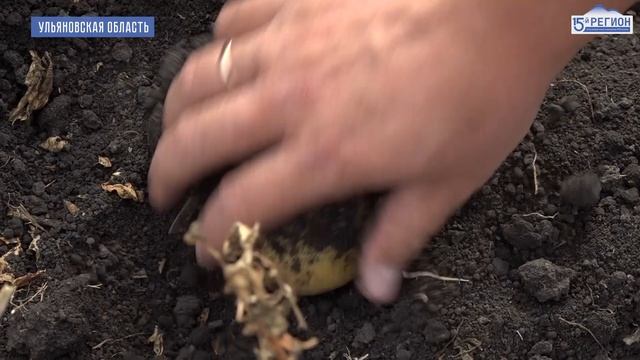 «Садон» покоряет российские поля