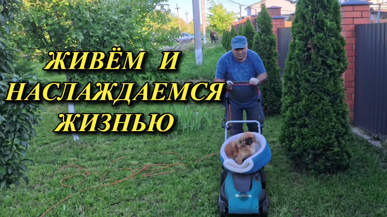 905 Живём в Краснодарском крае/Обзор наших покупок/Сад на Кубани смотреть онлайн