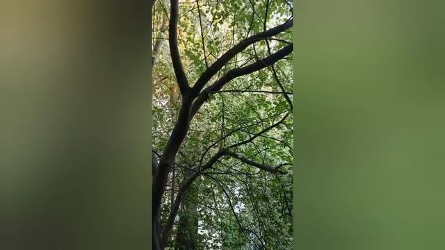 ПРОСТЫМИ СЛОВАМИ О СЛОЖНОМ.Инструкция самопомощи.