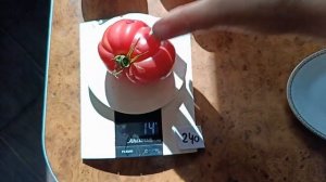 Томат Кунео