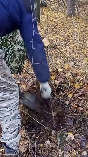 Ищу железо металлоискателем! смотреть онлайн