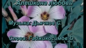 Обзор на DVD-диск «Всё русское караоке. Сборник 1»