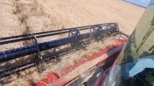 Первый день уборки,первый выезд комбайна Т 500. Уборочн?