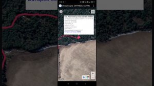 GPS ошейник hunter 25000 pro