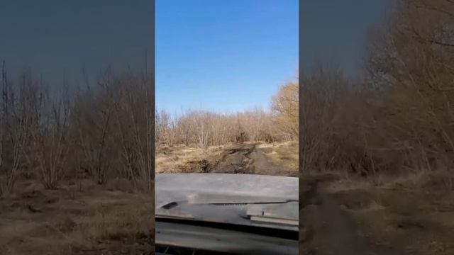 Тест Шин Sailun Terramax A/T   245 / 75 R16