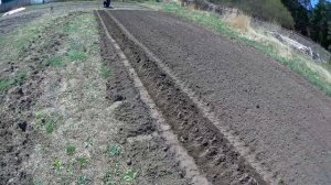 Мотоблок картофелесажалка разблокираторы