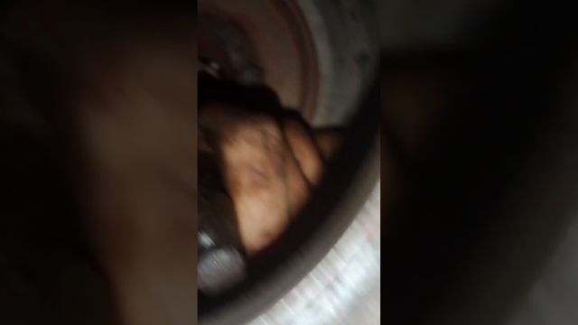 Рассыпался подшипник маховика (коленвала).