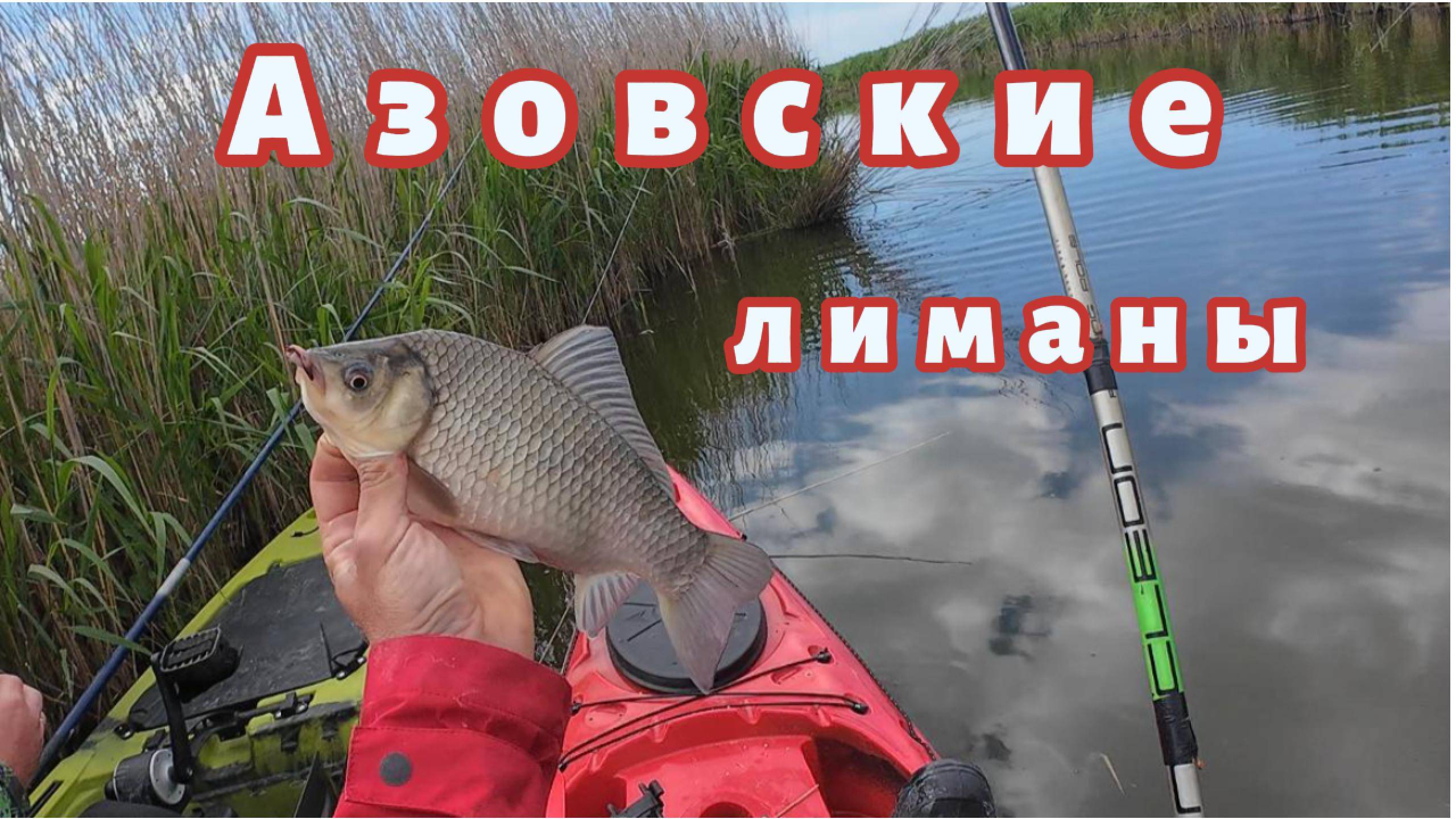 Азовские лиманы