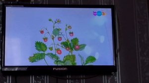 (CAM RIP) Навигатор. Новости (от 11.02.2025)