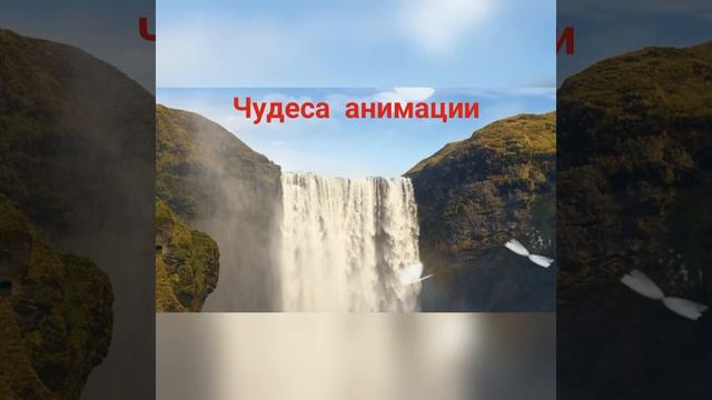 Чудеса анимации.