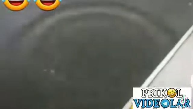 Армянские приколы про пьяных рыб смотреть онлайн