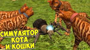 😻Симулятор КОТА и КОШКИ🐾БОСС напал🐾жизнь котика🐾cat sim