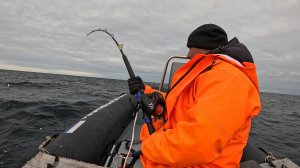 МОРСКАЯ РЫБАЛКА НА СЕВЕРЕ