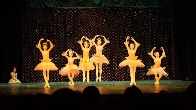 2019-01-27 РУСКИ ЛИЦЕЙ