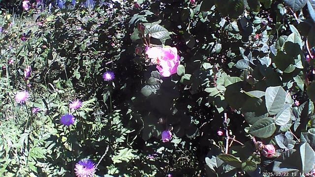 Мариуполь ⛵ смотреть онлайн