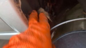 Ржавеет крыло Лада Гранта