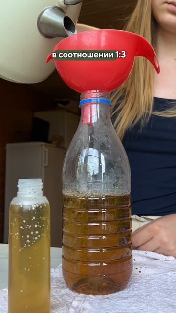 Отвар из мяты от жары и для волос! Больше о жизни в дере смотреть онлайн