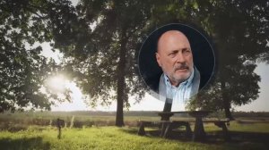 ЭНЕРГЕТИЧЕСКИЙ БАЛАНС и здоровье. Развитие стрессоустойчивости. Факторы выздоровления