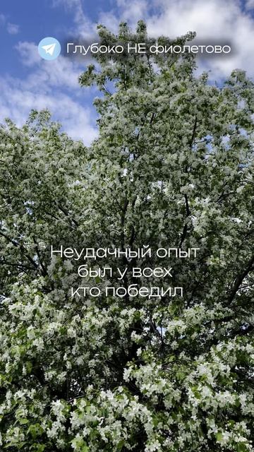 ✅ Блог нейрокоуча и расстановщика #жизнь #путь #осознанность #личностныйрост #психология #коучинг