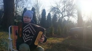 Дунайские волны. Учимся играть на Гармони.