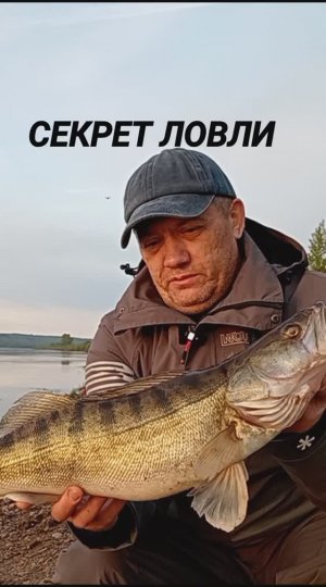 РАБОЧИЙ СПОСОБ