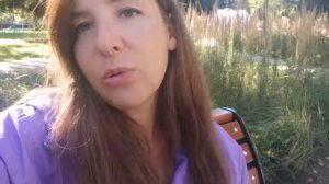 Кастрировать ли собаку? Личный опыт. Шпиц и кастрация.