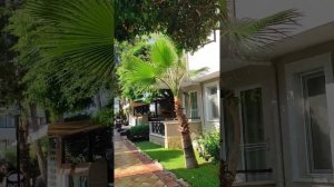 Club DIZALYA  Alanya Kanakli Турция