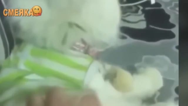 Смеяка #40 смотреть онлайн