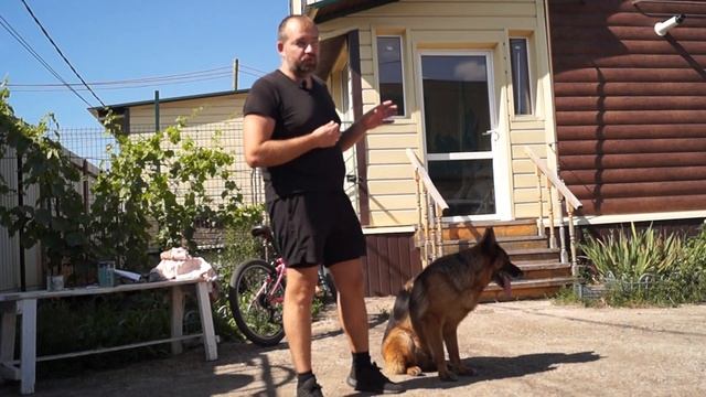 Выдержка. Как научить сидеть на месте. смотреть онлайн