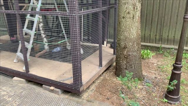 Черные белки.Временный бельчатник.Время,Размеры,Деньги и лайфхак смотреть онлайн